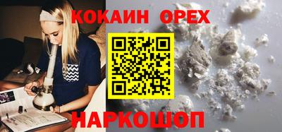 прущие грибы Будённовск