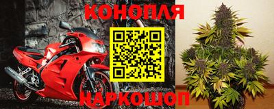 прущие грибы Будённовск