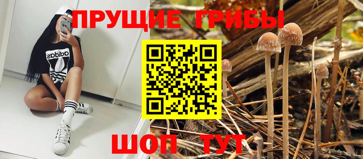 Псилоцибиновые грибы ЛСД  Вход с VPN  Новороссийск  Галлюциногенные грибы мицелий 
